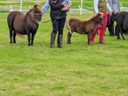 Gue Olivia and Gue Yeats